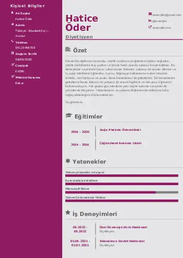 Beslenme Uzmanı Diyetisyen CV Örnekleri cv indir